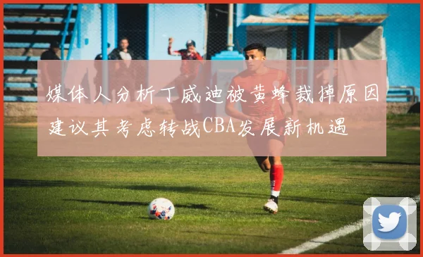 媒体人分析丁威迪被黄蜂裁掉原因建议其考虑转战CBA发展新机遇
