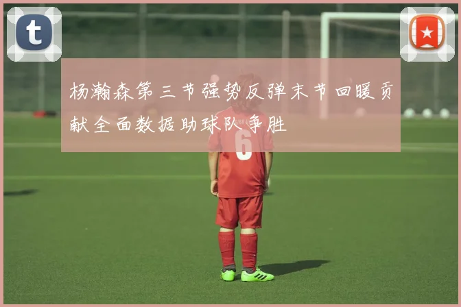 杨瀚森第三节强势反弹末节回暖贡献全面数据助球队争胜