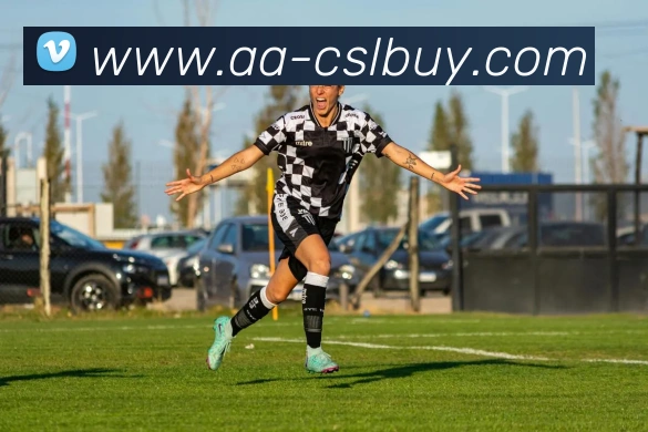 App Interface Preview