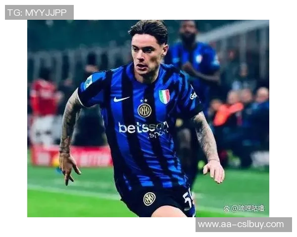 国米中卫引援目标姆拉契奇更换经纪人尚未决定加盟事宜